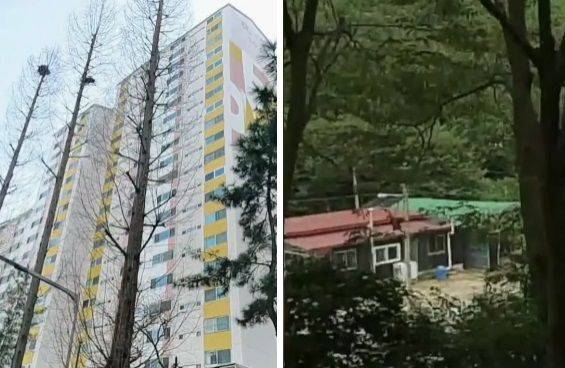 용혜인 성평등가족부 장관 후보자가 소속된 기본소득당의 시·도당 사무실 10곳 중 6곳이 아파트나 농장 등을 주소지로 등록한 것으로 나타났다. 사진=채널A 방송 갈무리