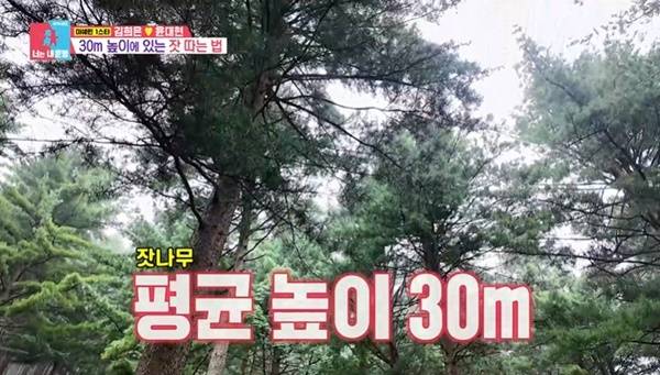 SBS ‘동상이몽2 너는 내 운명’ 캡처