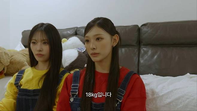 출처:'안녕하세요원이입니다잘부탁드립니다' 캡처