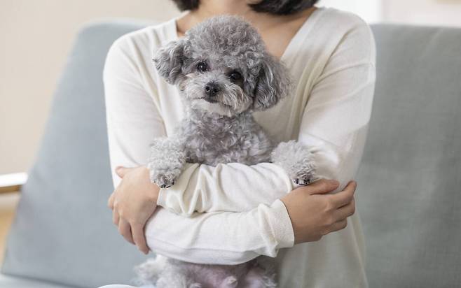 기사의 이해를 돕기 위한 이미지로 기사와 직접적 연관은 없습니다. 클럽아트코리아