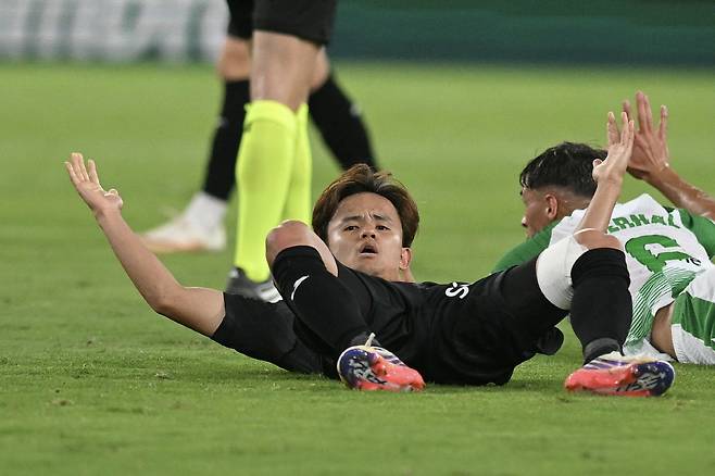 AFP연합뉴스
