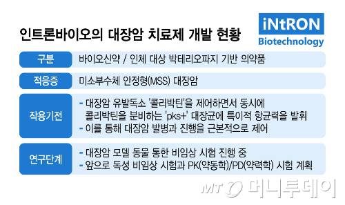 인트론바이오의 대장암 치료제 개발 현황. /그래픽=김지영