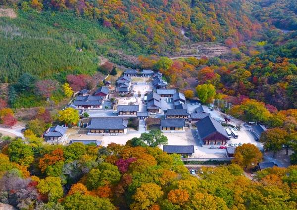 위에서 내려다본 표충사 전경 사진. /밀양시
