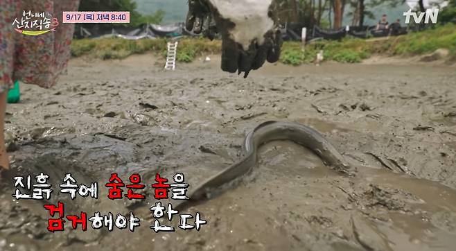 ‘언니네 산지직송3’&nbsp;