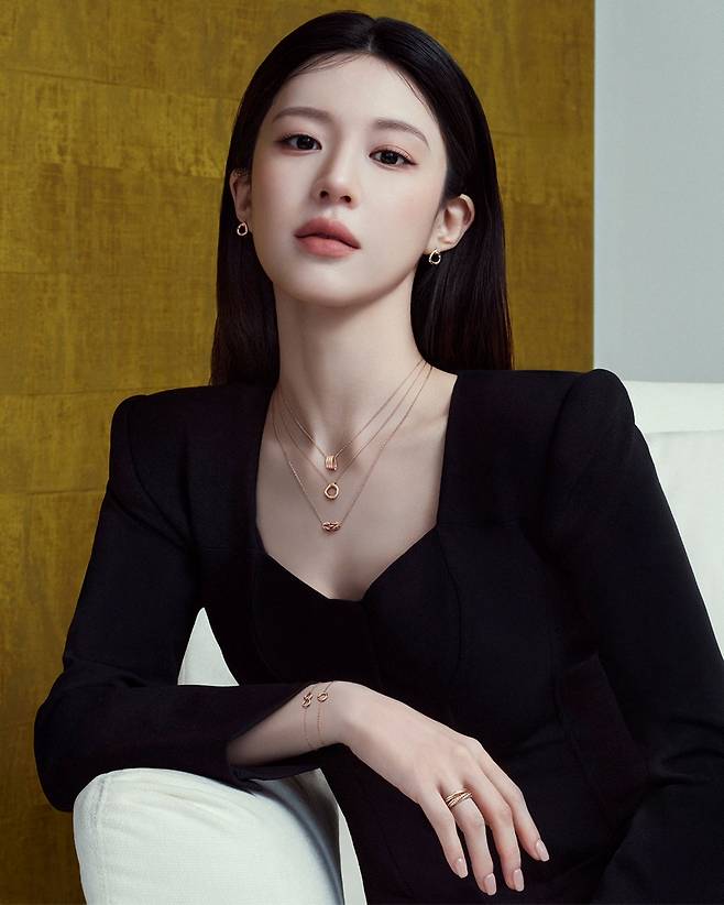 디디에 두보