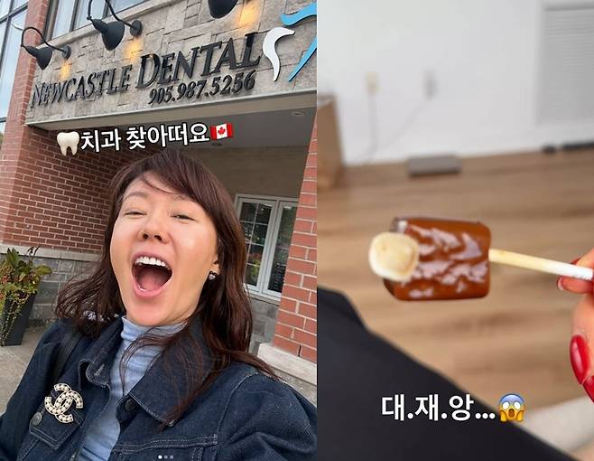/사진=안선영 SNS