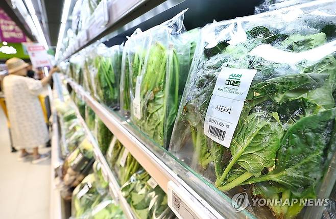 서울의 한 대형마트에서 판매되고 있는 시금치 [연합뉴스 자료사진]