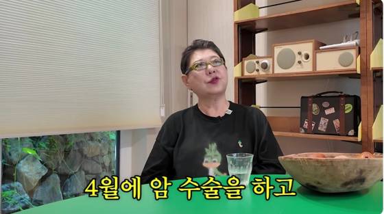 양희은, '암 말기, 3개월 시한부 선고' 이후 또 암 수술..쏟아지는 응원 [스타이슈]