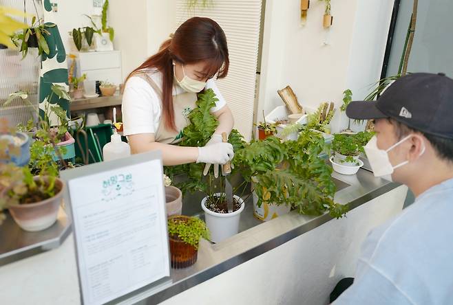 식물상담소에서 반려식물 관리 방법을 상담받는 '식집사'  [식물상담소 '허밍그린' 제공]