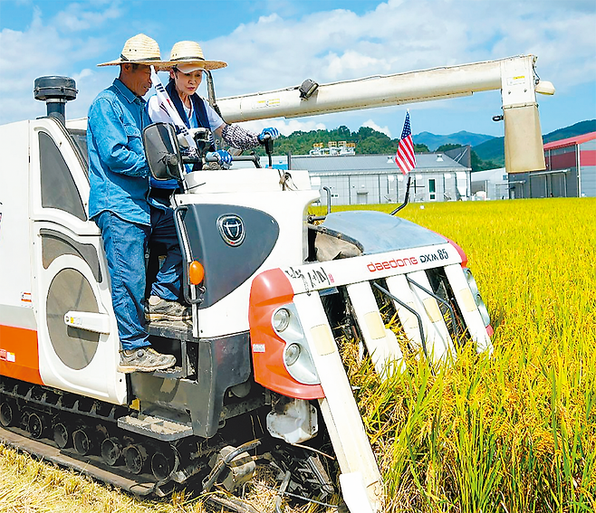 미셸 스틸 주한 미국대사(오른쪽)가 19일 전남광주 곡성군 석곡면에서 콤바인으로 벼를 수확하고 있다. 곡성군 석곡농협 제공