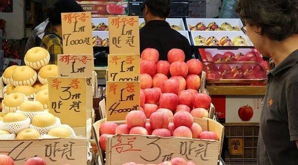 전통시장의 과일가게에 과일이 진열돼 있다. [출처=연합]