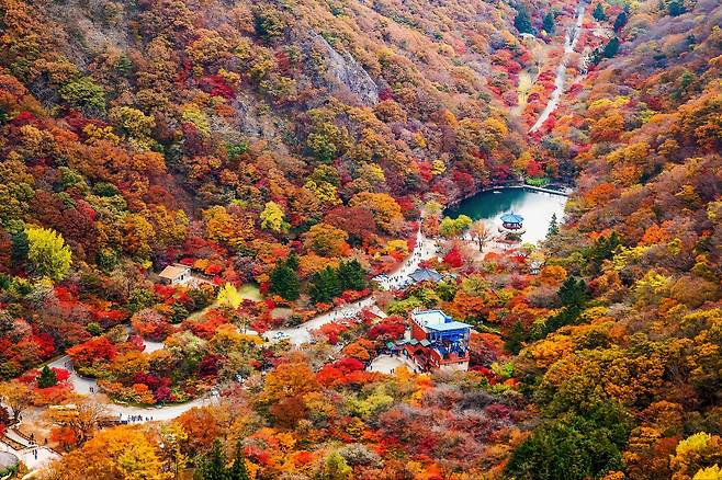 내장산국립공원 [한국관광공사 제공]