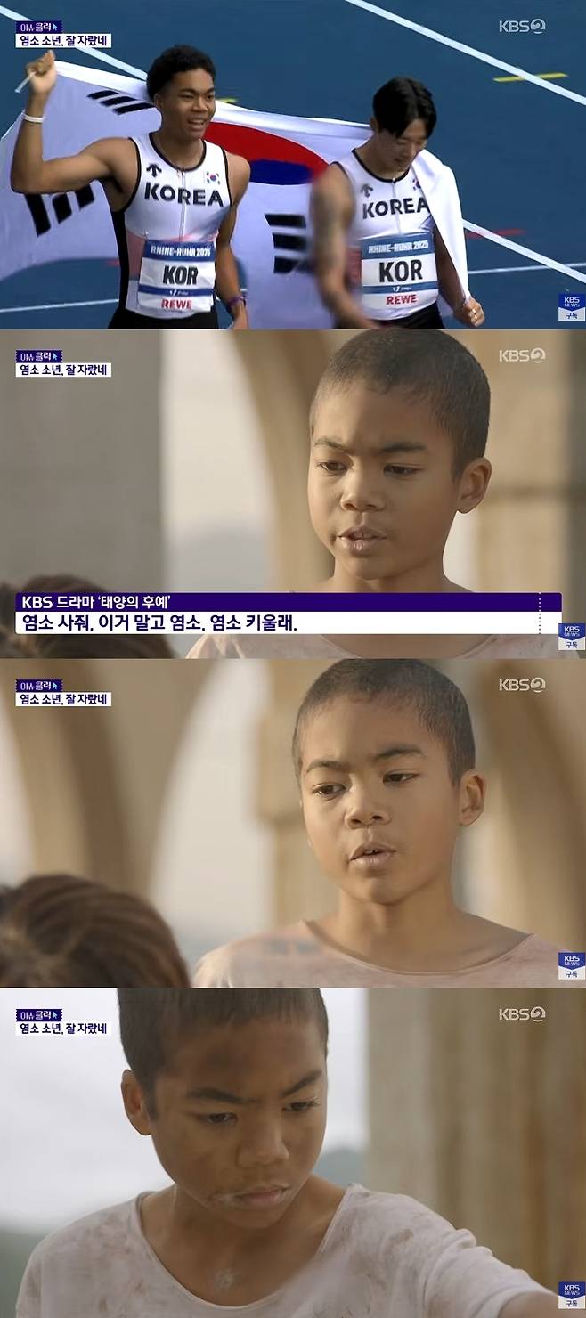 KBS News 캡처