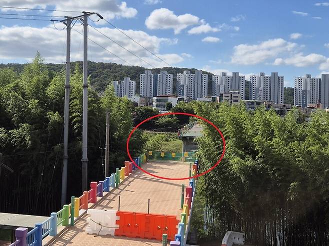 지난 23일 울산 태화강을 가로질러 중구 다운동과 남구 삼호동을 잇던 옛 삼호교가 1년 넘게 끊겨 있다. 중구청은 지난해 7월 폭우로 불어난 물살을 견디지 못하고 무너진 이 다리의 붕괴 구간을 지난 6월 철거했다. 주성미 기자