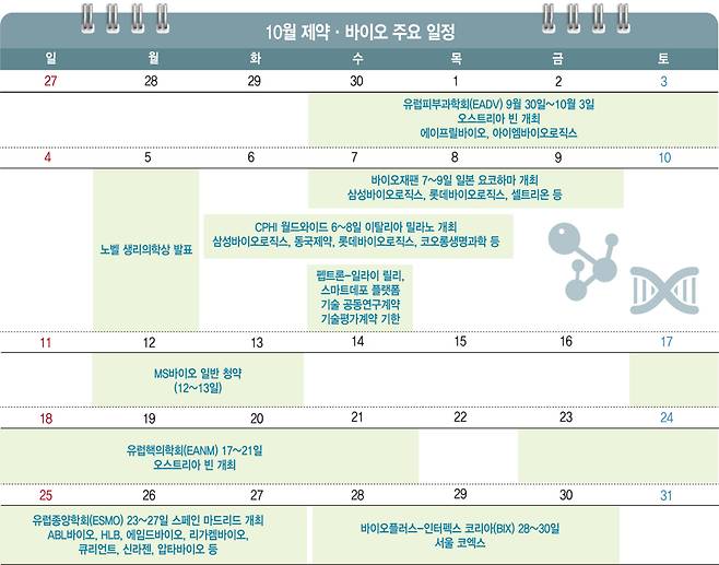 [그래픽=이데일리 김일환 기자]