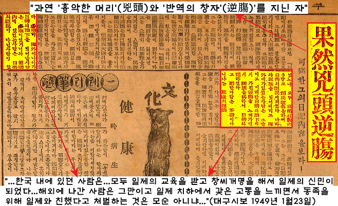 박중양은 “…한국 내에 있던 사람은…모두 일제의 교육을 받고 창씨개명을 해서 일제의 신민이 되었다…해외에 나간 사람은 그만이고 일제 치하에서 갖은 고통을 느끼면서 동족을 위해 일제와 친했다고 처벌하는 것은 모순 아니냐…”(대구시보 1949년 1월23일)고 반문했다. 이기환 제공