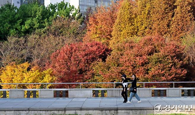 기사의 이해를 돕기 위한 이미지로 기사 내용과 직접적인 관련은 없습니다. 경기일보DB
