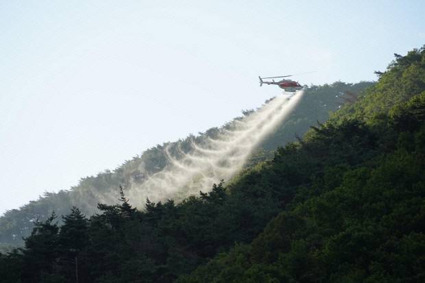 포항시 북구 기북면의 한 야산에서 소나무재선충병 확산 방지를 위한 항공방제를 실시하고 있다. 산림청 제공