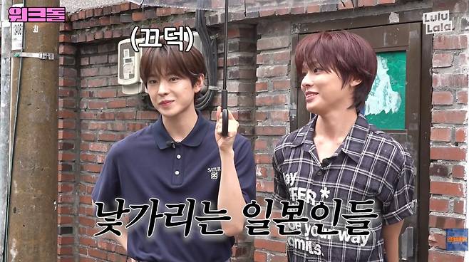 출처:채널 '워크돌'