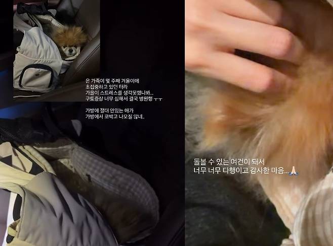 이솔이 소셜미디어