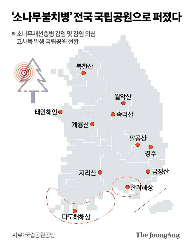 정근영 디자이너