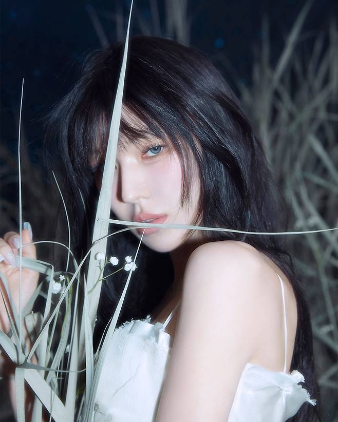 웬디. 어센드 제공