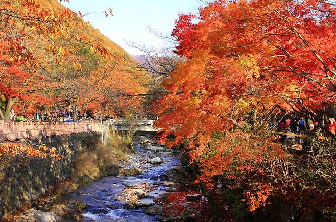 단풍으로 물든 소요산. 사진=동두천