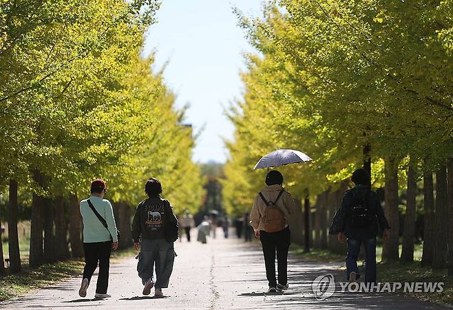 은행나무길을 걸으며 (인천=연합뉴스) 박동주 기자 = 완연한 가을 날씨를 보인 14일 인천 검단구 드림파크 야생화단지에서 시민들이 산책하고 있다. 2026.10.14 pdj6635@yna.co.kr
