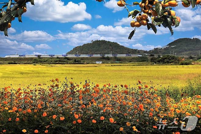 제17회 철도사진공모전 수상작(향수) (한국철도공사 제공. 재판매 및 DB금지) /뉴스1