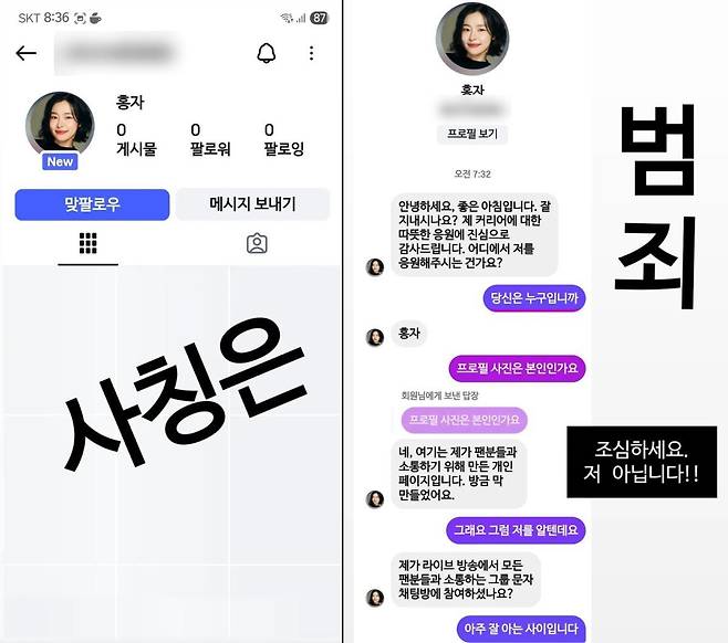 출처:홍자