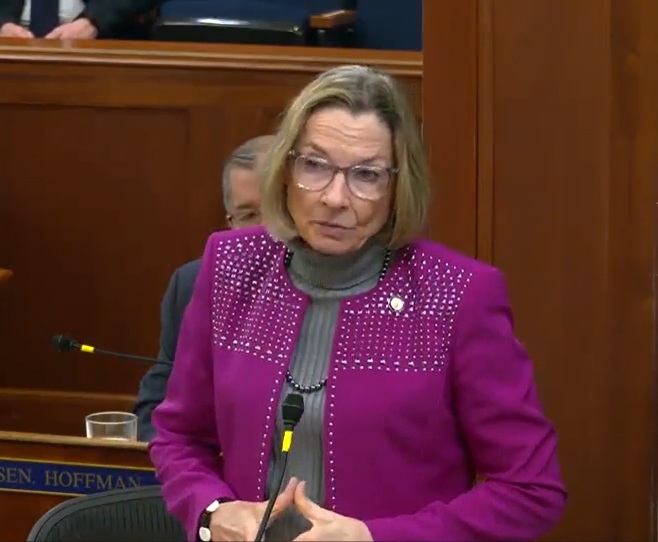 Alaska State Senator Cathy Giessel, chair of the Senate Resources Committee.  Alaska Senate/YouTube