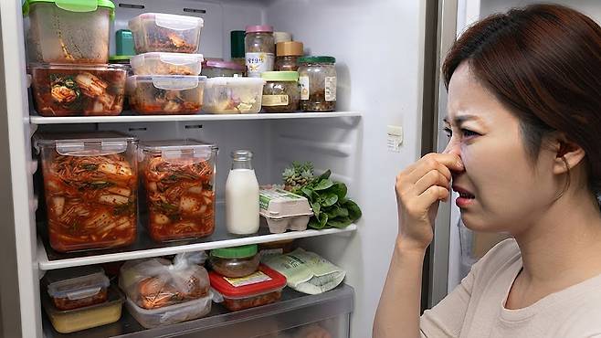 구석구석 배어든 냉장고 묵은내, 무심코 놓아둔 탈취제가 오히려 화근이 될 수 있다. 게티이미지뱅크
