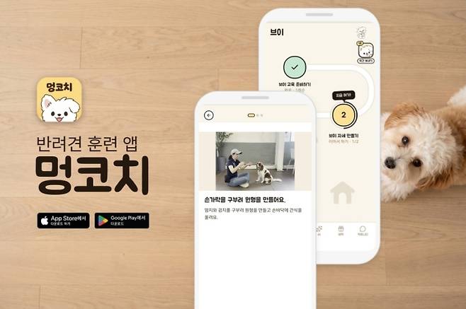 멍코치가 일상에서 반려동물을 효과적으로 교육할 수 있는 커리큘럼을 공개했다.(멍코치 제공)