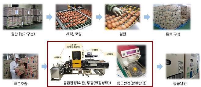 AI 등급판정 절차(자료제공=축산물품질평가원)