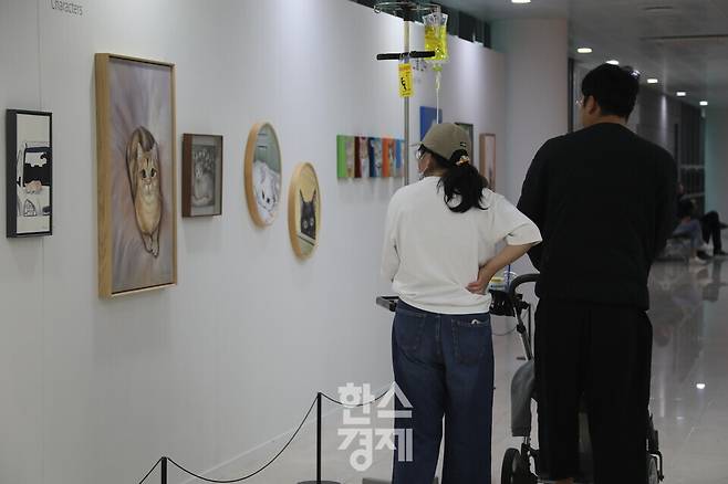 창원한마음병원 1층 로비에서 열리고 있는 김주성 작가 개인전 '나는 고양이를 본다' 전시장에서 아기의 보호자들이 수액 걸이와 유모차를 밀며 고양이 그림을 바라보고 있다. 사진=정수연 기자