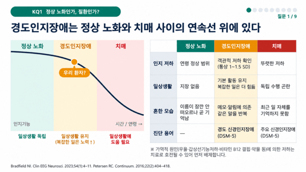 정상 노화, 경도인지장애, 치매의 구분 / 발표 자료 갈무리