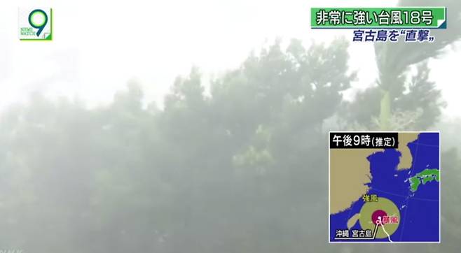 태풍 '탈림'이 일본 남부로 접근하면서 13일 오키나와현 미야코섬에 강한 비바람이 불고 있다. (출처:nhk)