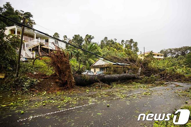 허리케인 '마리아'가 동반한 강풍에 피해를 입은 과들루프에서 가장 큰 도시 푸엥타피틀. © AFP=뉴스1