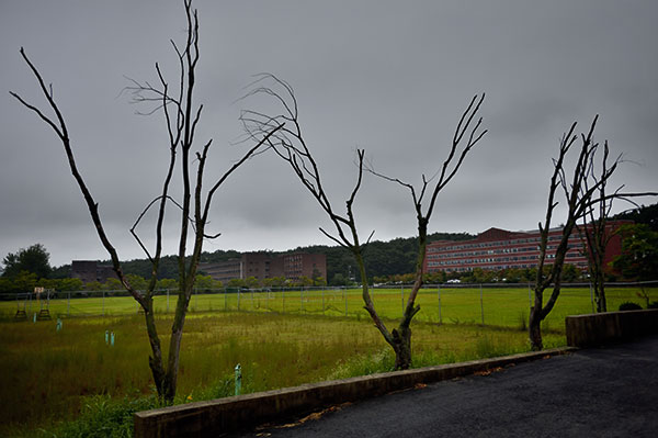 ⓒ시사IN 조남진 폐교 위기에 놓인 전북 남원시 서남대학교의 처참한 전경.관리되지 않은 나무들이 말라죽어 있다.