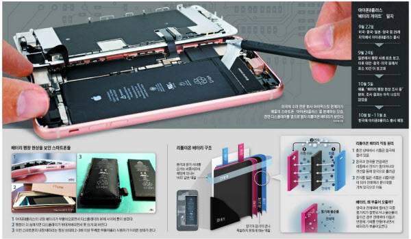 /그래픽=김현지 기자