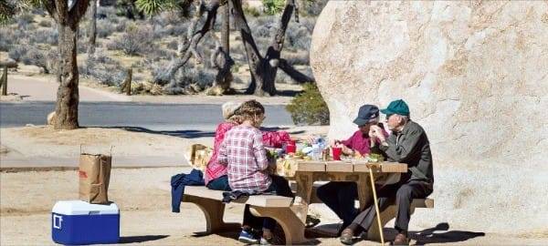 암벽등반, 하이킹 등 액티비티와 피크닉 장소로 인기가 높은 조슈아 트리 국립공원.