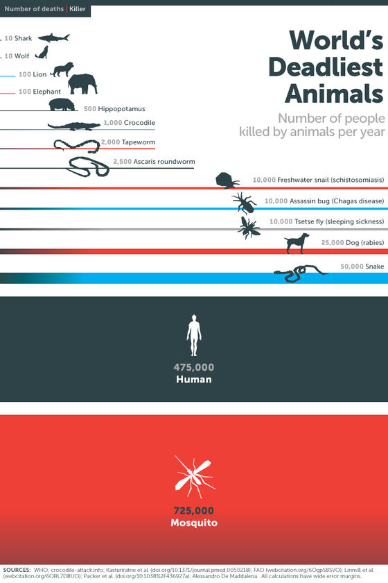 2014년 4월 ‘모기 주간’을 맞아 빌 게이츠가 ‘세상에서 가장 치명적인 동물’로 1위에 모기를 소개한 리스트 그래픽. [사진 게이츠노트]