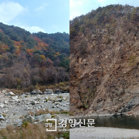 왼쪽은 석포제련소 바깥에 있는 숲, 오른쪽은 석포제련소의 배출가스에 노출된 숲이다. 같은 지역의 숲인데도, 왼쪽 사진의 숲은 울창한 반면 오른쪽 사진의 숲은 황폐하다. 송윤경기자 kyung@kyunghyang.com