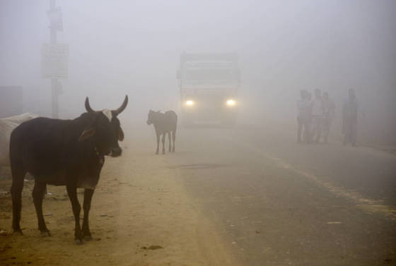 11월 8일 치명적인 공기오염 때문에 스모그에 휩싸인 인도 뉴델리에서 트럭이 전조등을 켜고 달리고 있다. (AP Photo/R S Iyer) <저작권자(c) 연합뉴스, 무단 전재-재배포 금지>