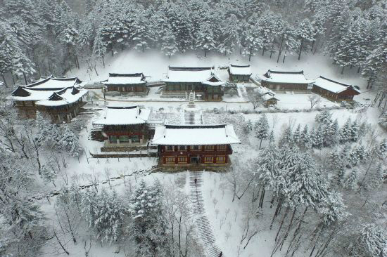 월정사의 전나무숲길에도 눈이 내려 고즈넉한 아름다움을 더한다(사진=한국관광공사 제공)