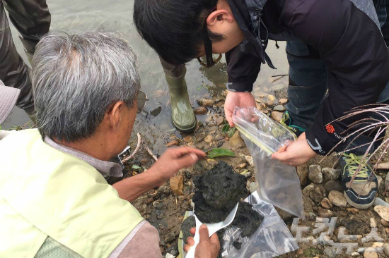 시민단체 회원들이 남한강 일대 저질토를 채취해 조사하고 있다. (사진=환경운동연합 제공)