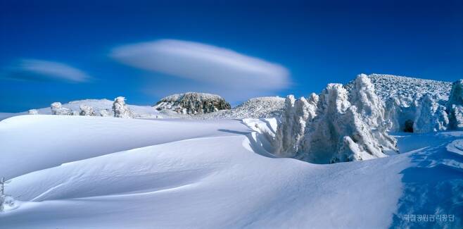 최우수상 고승찬씨의 '한라 설산의 접시구름 /사진=국립공원관리공단