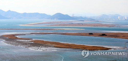 낙동강 하굿둑 아래 모래톱 [연합뉴스 자료사진]