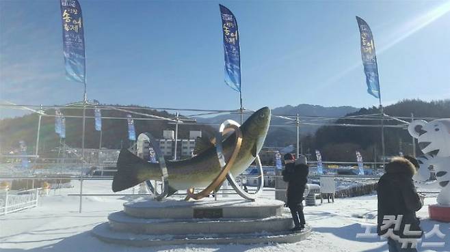평창송어축제장.