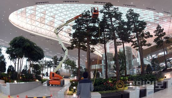 국내 공항에 처음으로 조성된 '인공숲'.